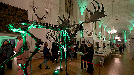 Lange Nacht der Museen 2025