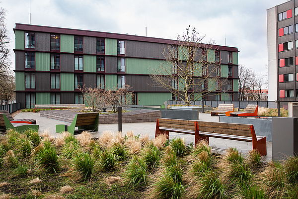 Dachterrasse der Wohnanlage Schwere-Reiter-Straße Auf dem Foto sieht man im Vordergrund verschiedene Gräser und Grünpflanzen. Dahinter eine gepflasterte Fläche, auf der Bänke stehen und auf der sich weitere Beete mit Büschen befinden. Eine Baumkrone ragt auch aus einem der Beete etwas weiter hinten hervor. An diese Fläche angrenzend sieht man vier Stockwerke des Wohnheims Schwere-Reiter-Straße. Die Fenster sind bodentief und die Fassade besteht aus Holz, welches türkisfarben und anthrazitfarben angestrichen ist.