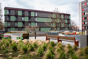Dachterrasse der Wohnanlage Schwere-Reiter-Straße Auf dem Foto sieht man im Vordergrund verschiedene Gräser und Grünpflanzen. Dahinter eine gepflasterte Fläche, auf der Bänke stehen und auf der sich weitere Beete mit Büschen befinden. Eine Baumkrone ragt auch aus einem der Beete etwas weiter hinten hervor. An diese Fläche angrenzend sieht man vier Stockwerke des Wohnheims Schwere-Reiter-Straße. Die Fenster sind bodentief und die Fassade besteht aus Holz, welches türkisfarben und anthrazitfarben angestrichen ist.