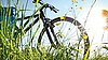 Auf dem Bild sieht man aus der Untersicht auf ein Fahrrad, welches im Abendlicht auf einer grünen Wiese steht.