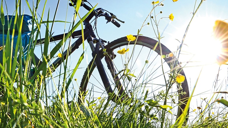 Auf dem Bild sieht man aus der Untersicht auf ein Fahrrad, welches im Abendlicht auf einer grünen Wiese steht.