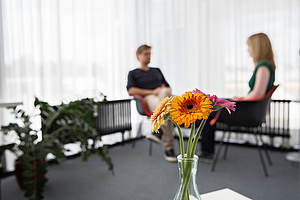 Das Bild zeigt symbolhaft eine Beratungssituation. Im Vordergrund ist eine Blumenvase zu sehen, im Hintergrund, der leicht verschwommen ist, sind zwei Personen sichtbar, die sich gegenüber sitzen und miteinander sprechen.