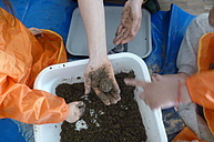 Kinder, von denen man nur Hände und Arme sieht, halten selbstgemachte Seed Bombs in der Hand.